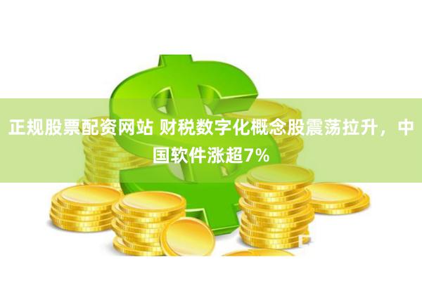 正规股票配资网站 财税数字化概念股震荡拉升，中国软件涨超7%