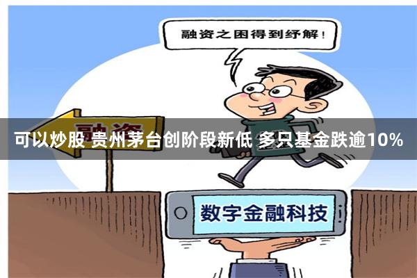 可以炒股 贵州茅台创阶段新低 多只基金跌逾10%