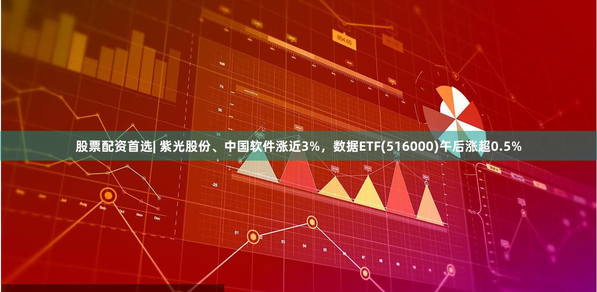 股票配资首选| 紫光股份、中国软件涨近3%，数据ETF(516000)午后涨超0.5%