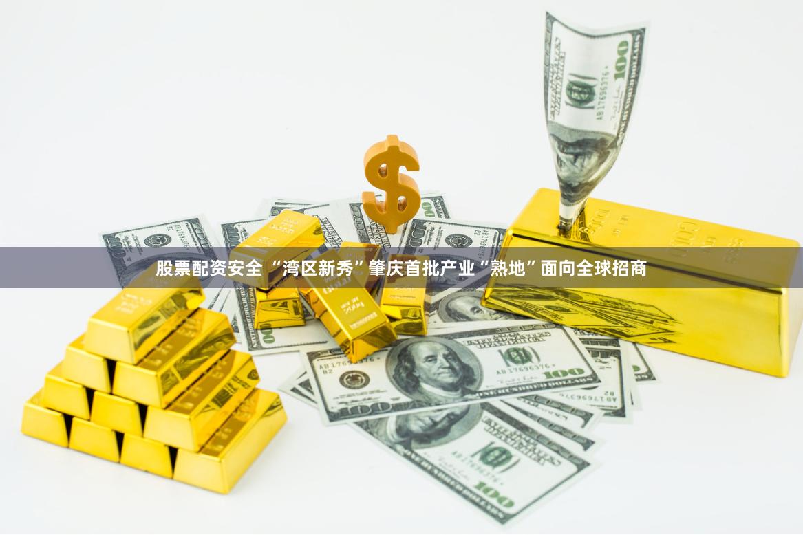 股票配资安全 “湾区新秀”肇庆首批产业“熟地”面向全球招商