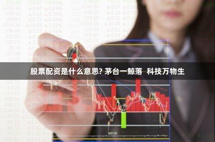 股票配资是什么意思? 茅台一鲸落  科技万物生