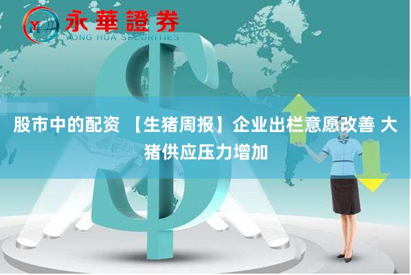 股市中的配资 【生猪周报】企业出栏意愿改善 大猪供应压力增加